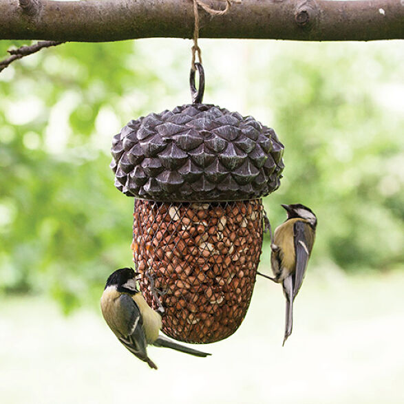 Garden & Bird Feeders