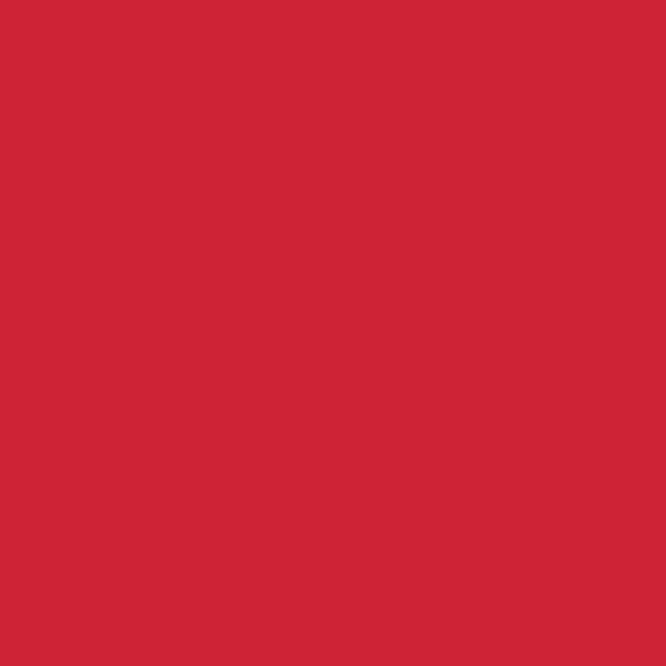 Polyvine Acrylic Enamel Paint -  Bright Red