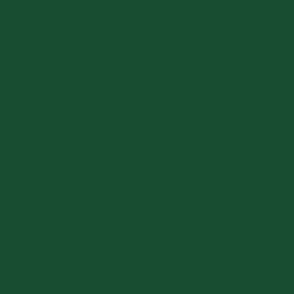 Polyvine Acrylic Enamel Paint - Brunswick Green