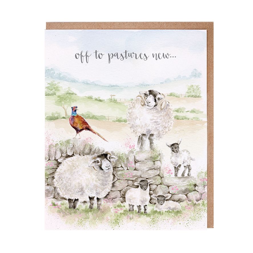Wrendale 'Pastures New' Sheep Card