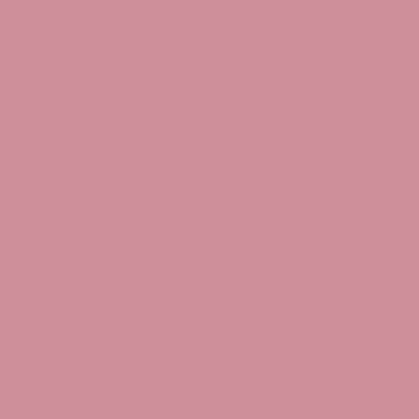 Polyvine Acrylic Enamel Paint - Pink