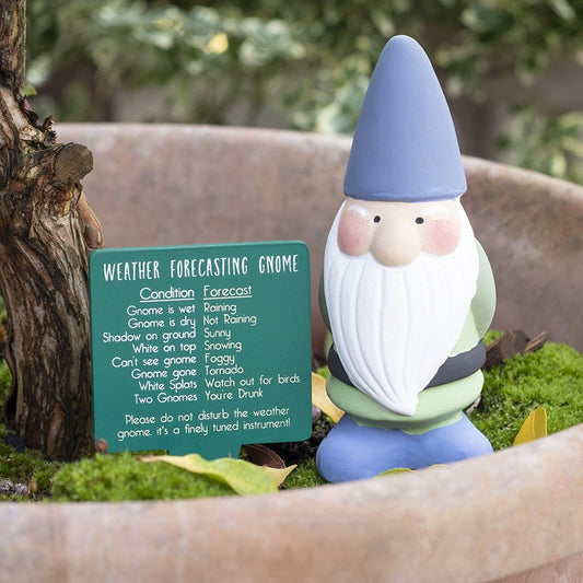 Weather Forecasting Garden Gnome
